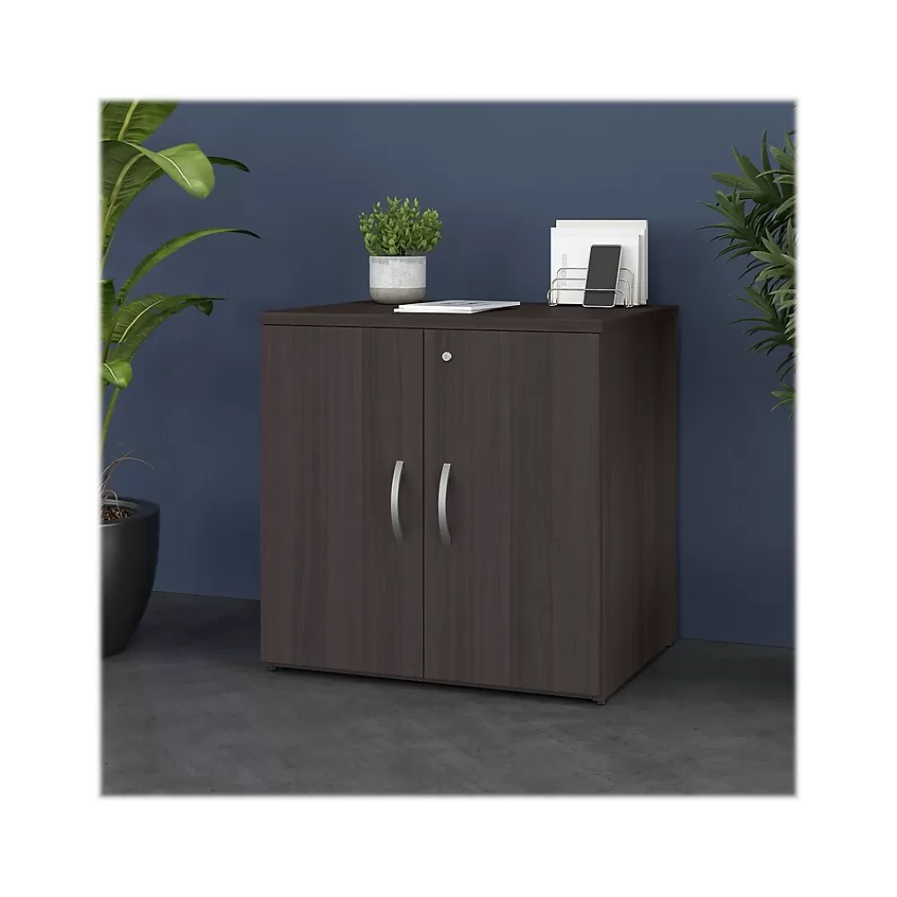 Bush Business Furniture Studio C 30" Storage Cabinet with 2 Shelves, Storm Gray (SCS130SG) Store