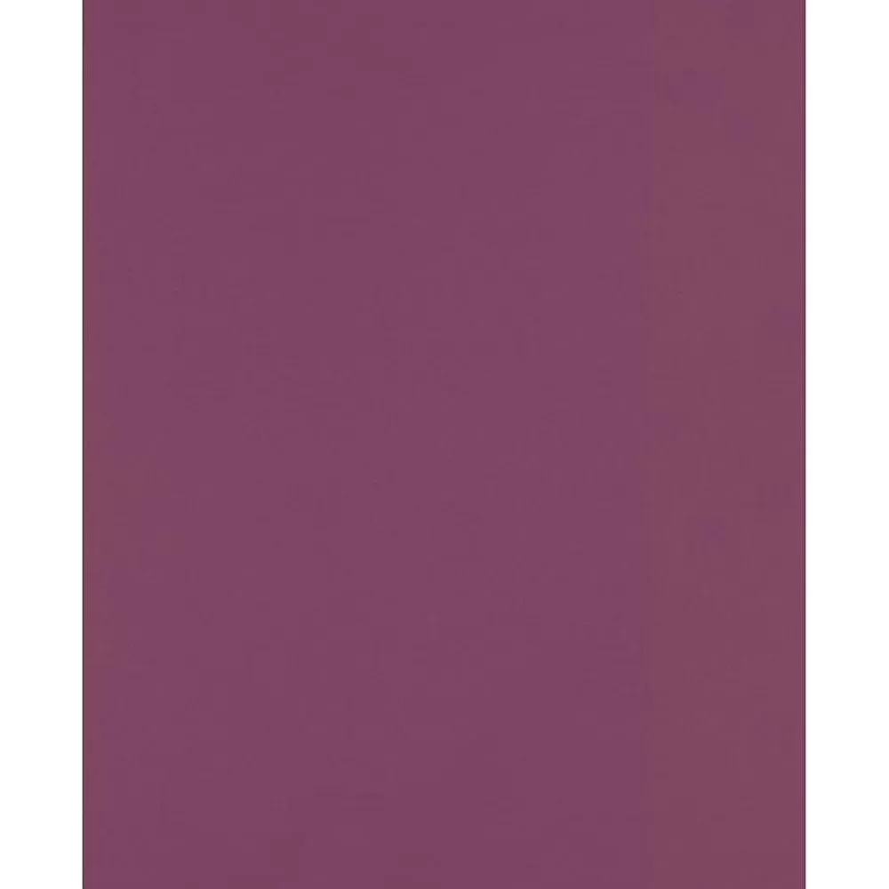 JAM Paper 8.5" x 11" Color Multipurpose Paper, 80 lbs., Vintage Plum, 50 Sheets/Ream (81211-P-197-50) New