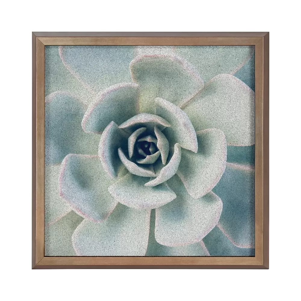 Kate & Laurel F2 Images Succulent 7 Cork Bulletin Board, Gold Frame, 1' x 1' (222048) New