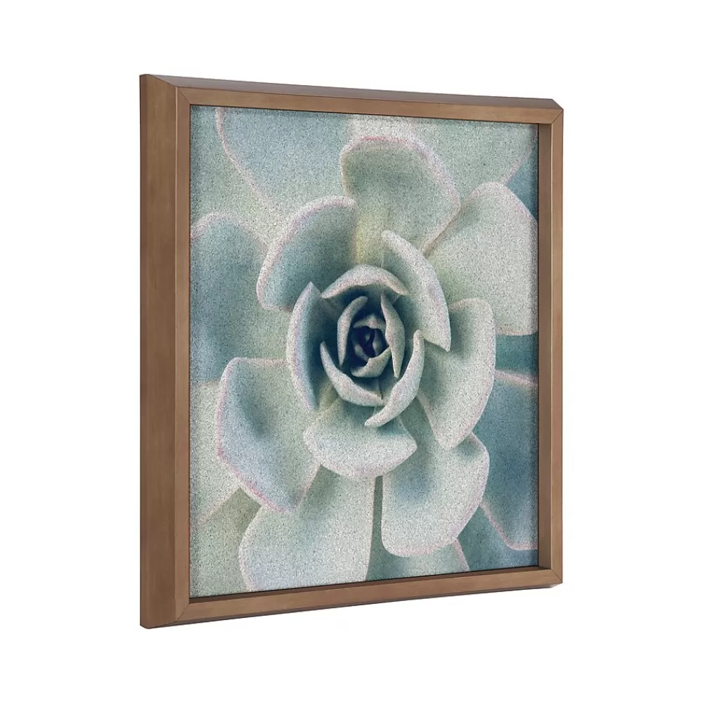 Kate & Laurel F2 Images Succulent 7 Cork Bulletin Board, Gold Frame, 1' x 1' (222048) New