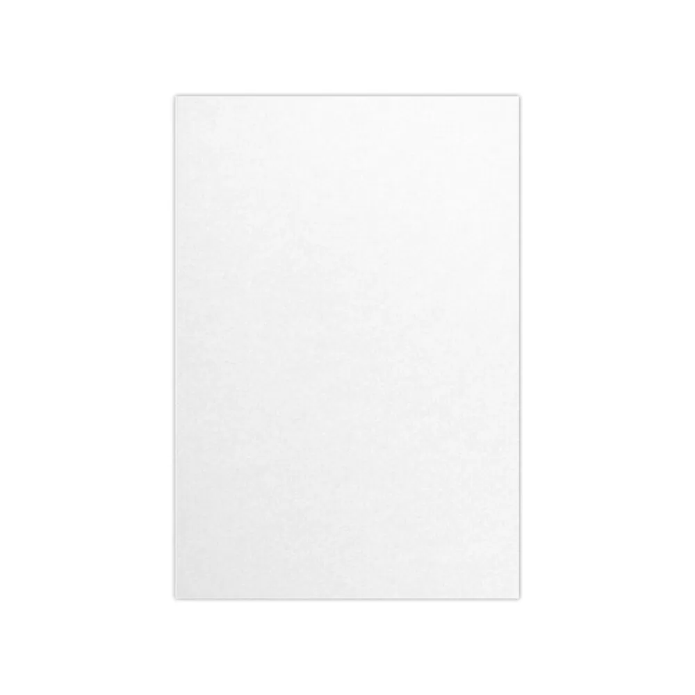 LUX 105 lb. Cardstock Paper, 13" x 19", Crystal, 250 Sheets/Pack (1319-C-M30-250) Fashion