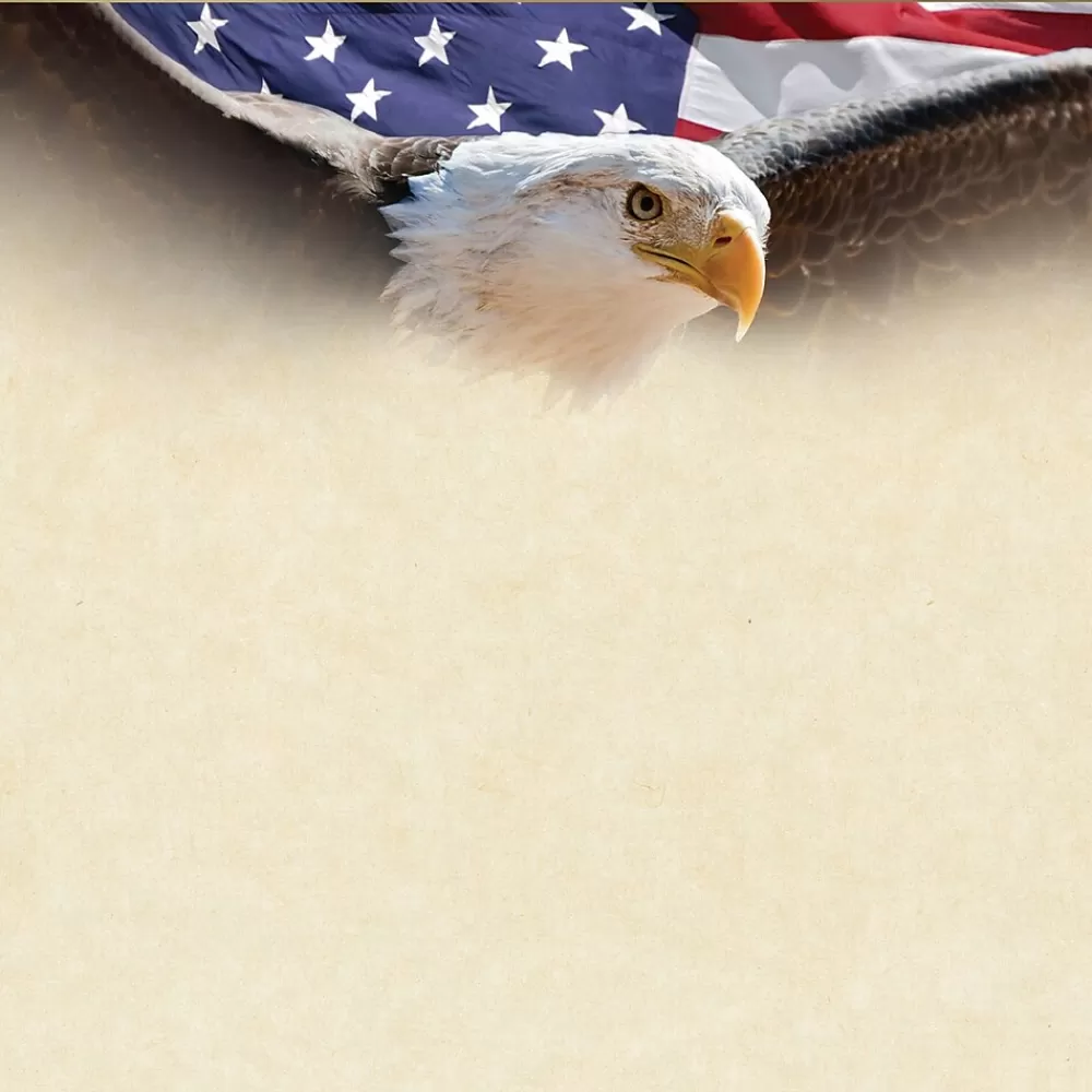Masterpiece Studios Great Papers!® Flying Eagle with Gold Foil Certificate, 8.5"H x 11"W, 15 count (2017042) Online