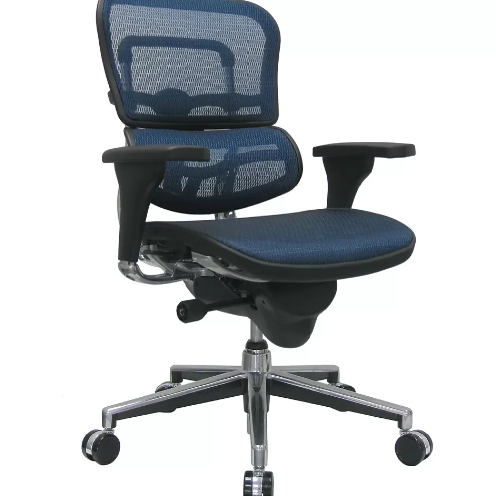 RAYNOR GROUP Raynor Eurotech Ergo human Mesh Mid Back Task Chair, Blue Clearance