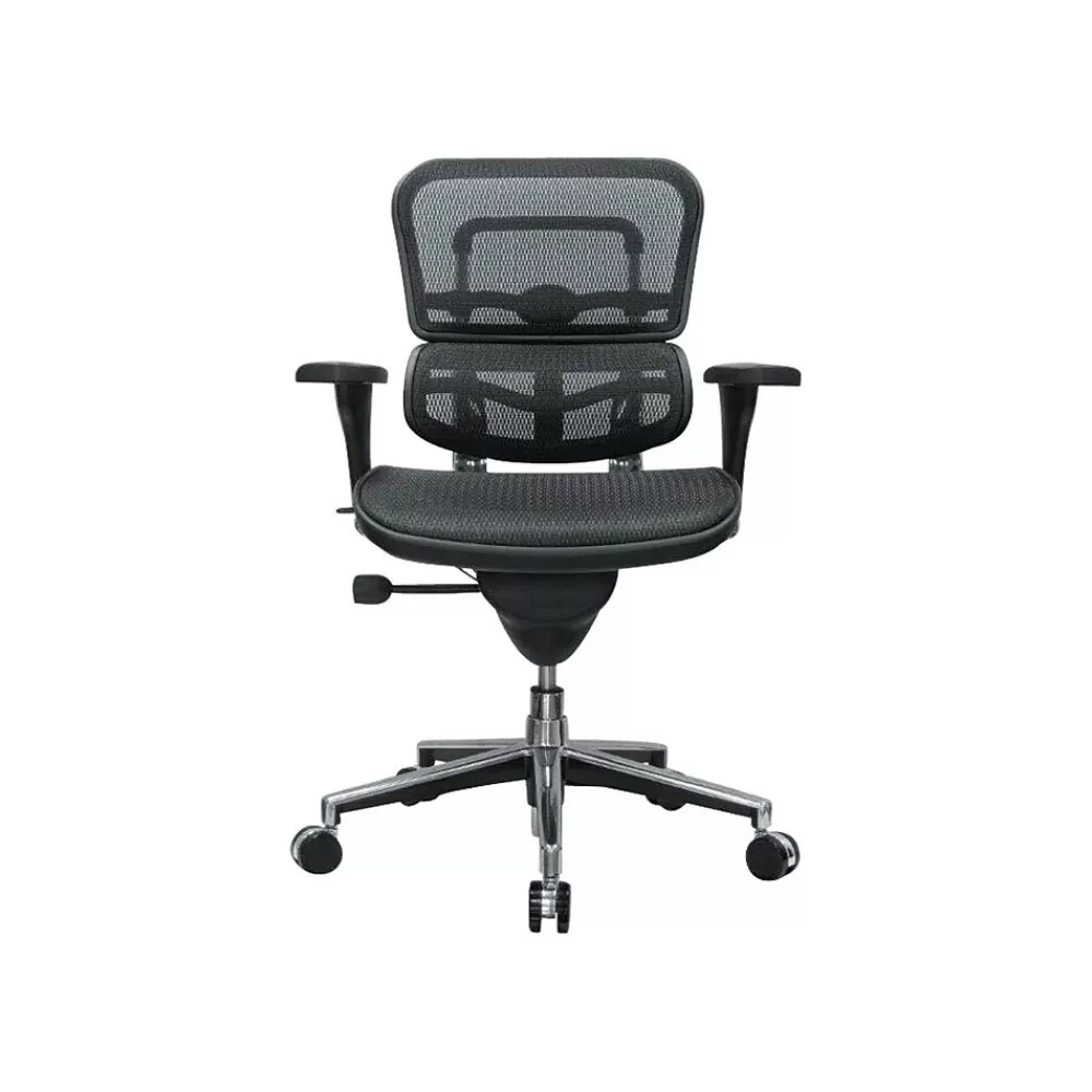 RAYNOR GROUP Raynor Low Back Mesh Task Chair, Black (ME8ERGLO(N)) Shop