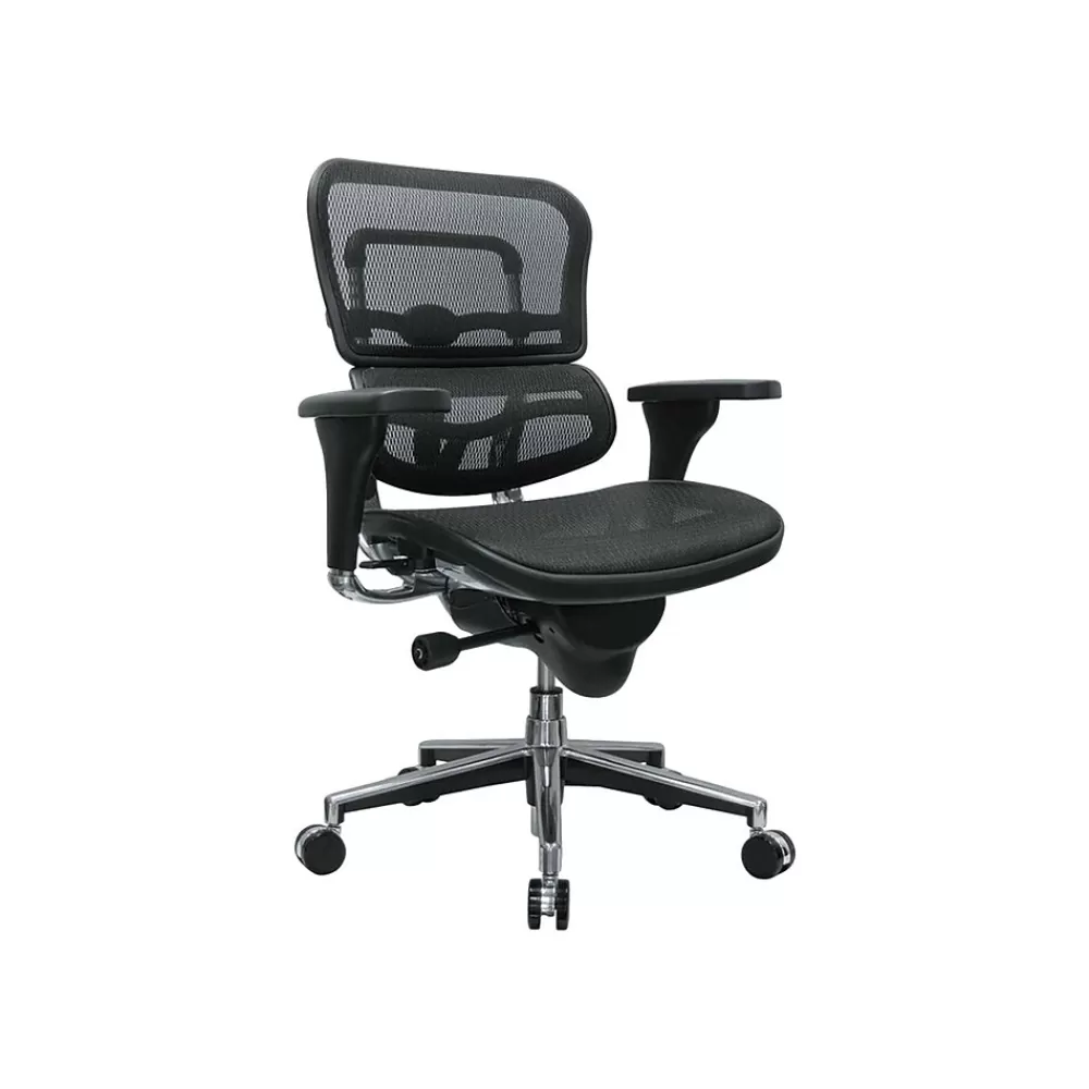 RAYNOR GROUP Raynor Low Back Mesh Task Chair, Black (ME8ERGLO(N)) Shop
