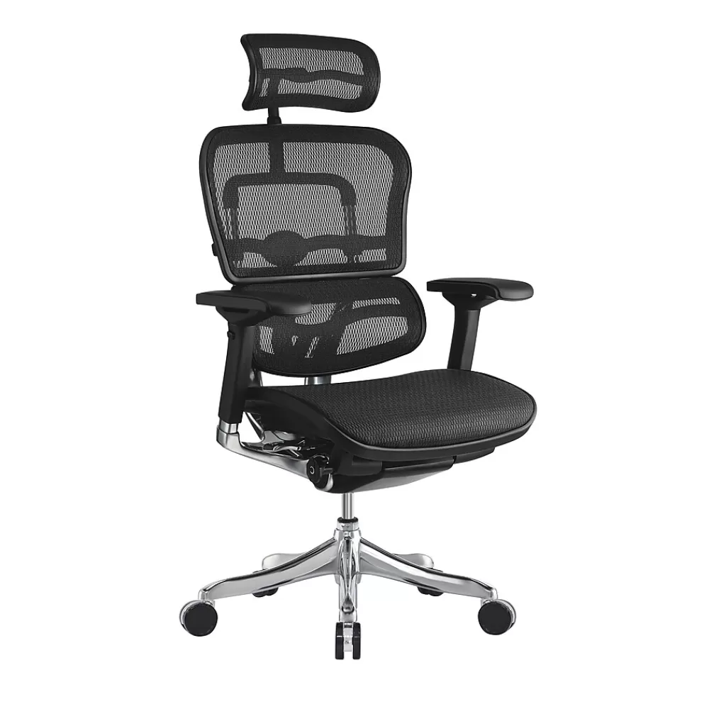 Raynor Marketing Ergo elite Mesh Task Chair, Black (ME22ERGLT-BLK) Fashion