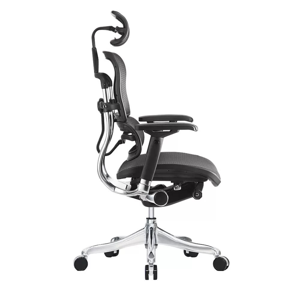 Raynor Marketing Ergo elite Mesh Task Chair, Black (ME22ERGLT-BLK) Fashion